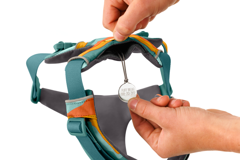 Ruffwear Front Range Dog Harness Spring Mountains-4